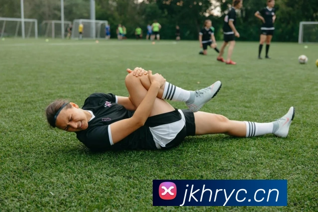 云开app官网入口网页版平台生态图